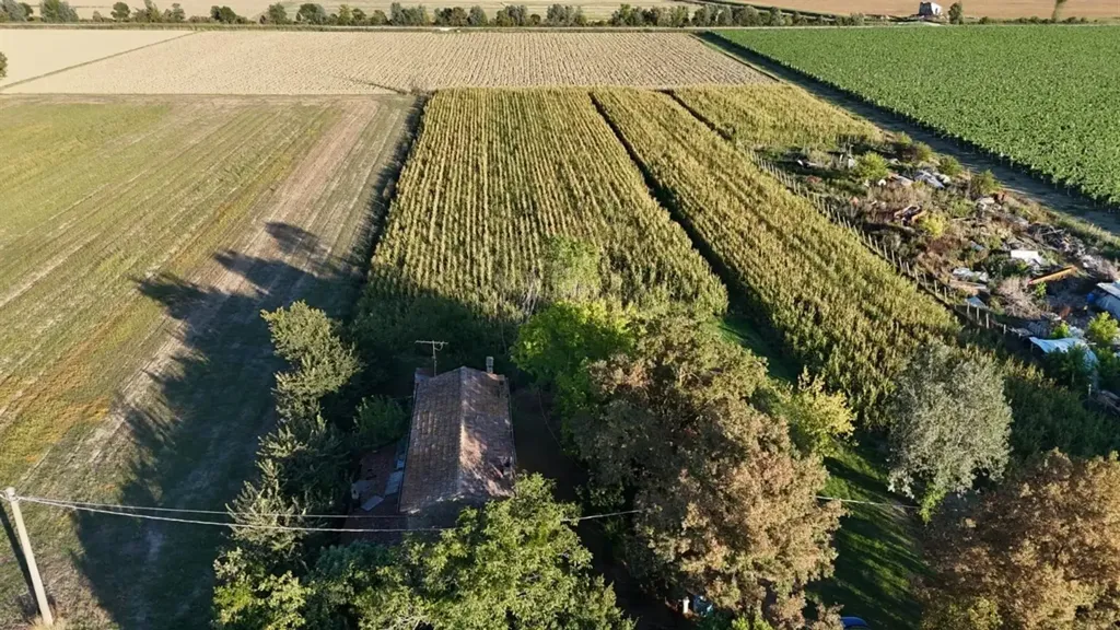 Õhuvaade - Rustic Cottage with Large Yard in Lugo