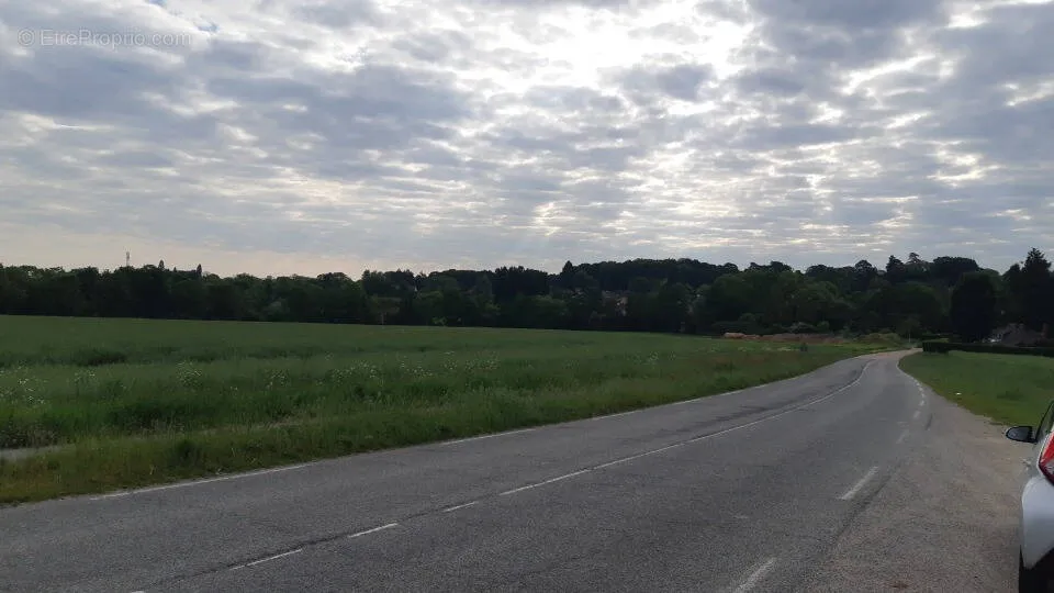 Jardin - Terrain avec Jardin à Chennevières-sur-Marne