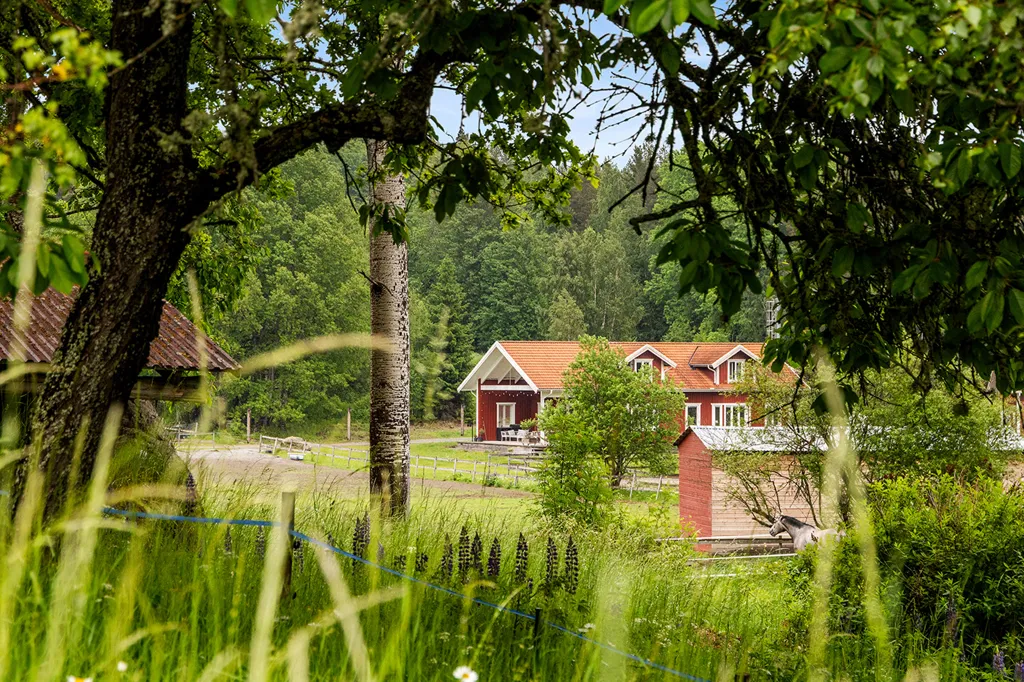 Garden - Complete Horse Farm with Residence in Rural Area