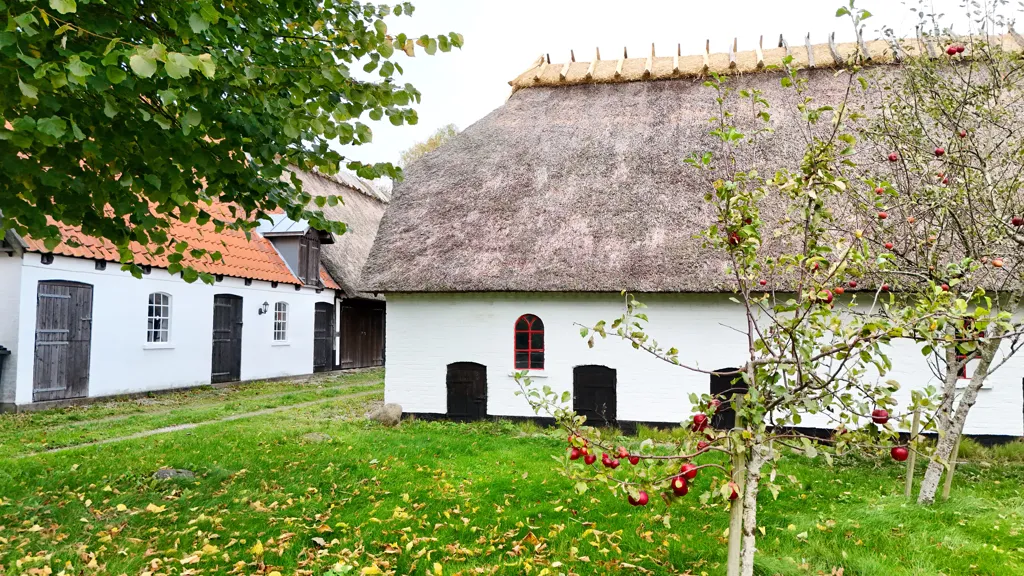 Välivaade - Villa with Multiple Outbuildings in Skårup, Fyn