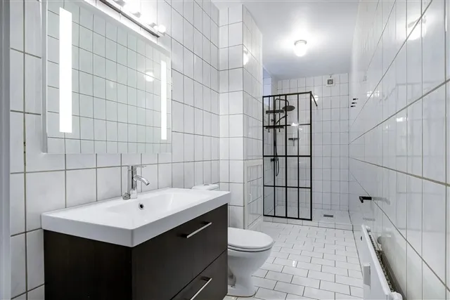 Salles de bain - 5-Room Apartment with Shared Garden in Central Location
