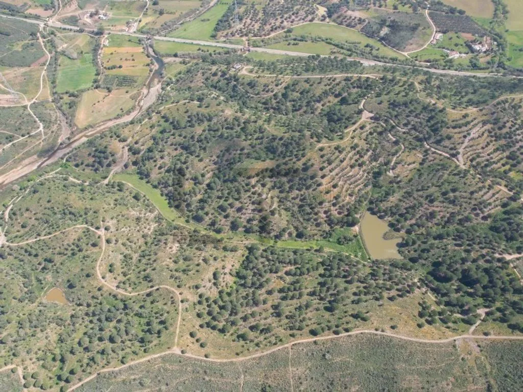 land_plot