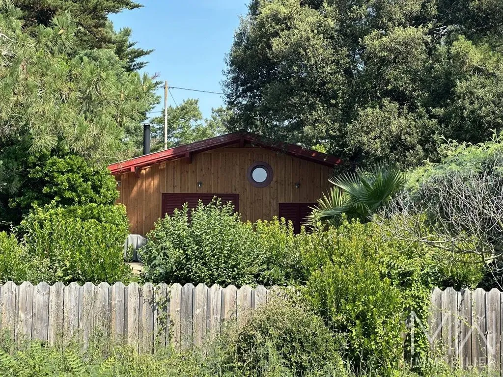 Exterior - Restored Villa with Beach Access in Cap Ferret