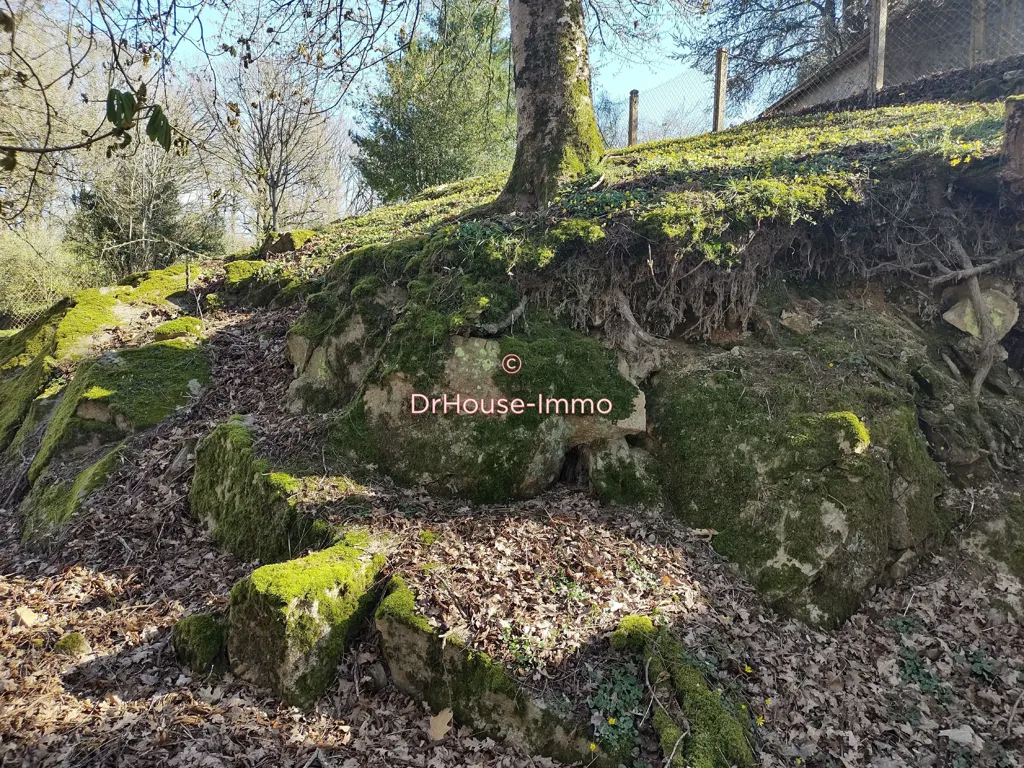 Aed - Charming House with Forest View in Measnes