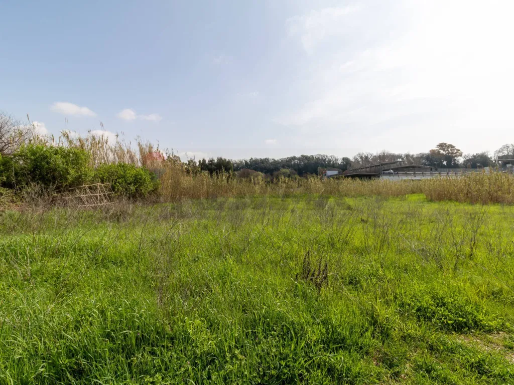 Giardino - Buildable Land with Project in Ardea