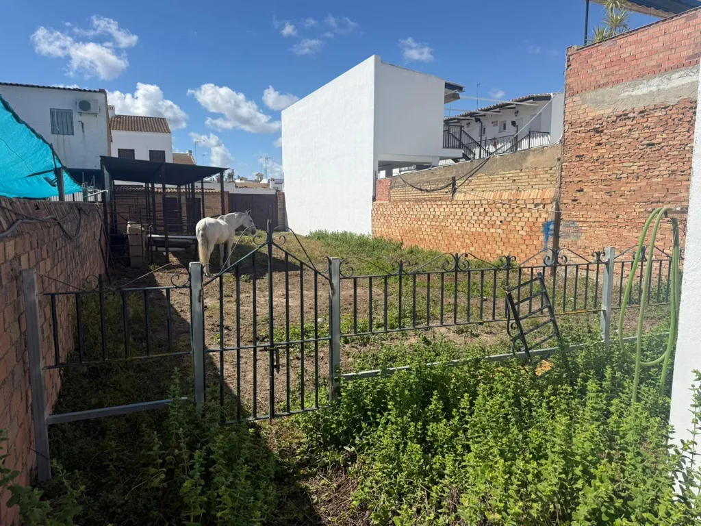 Jardin - Historic House with Multiple Kitchens in El Rocío