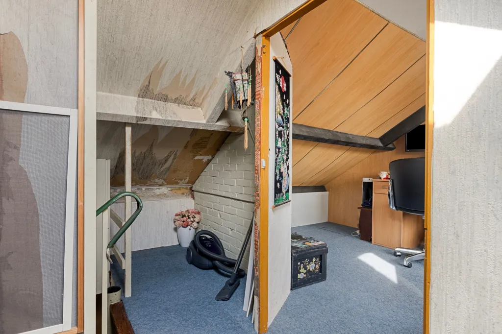 Toad - Renovatable Corner House with Garden in Goes