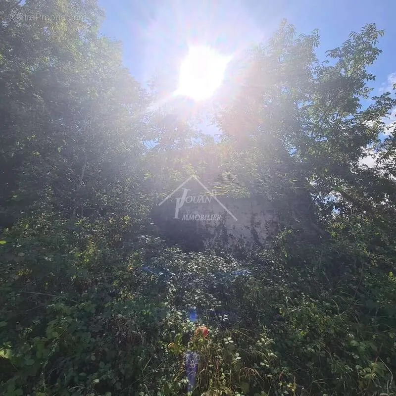 Garden - Rural Property with Panoramic Views in Gipcy