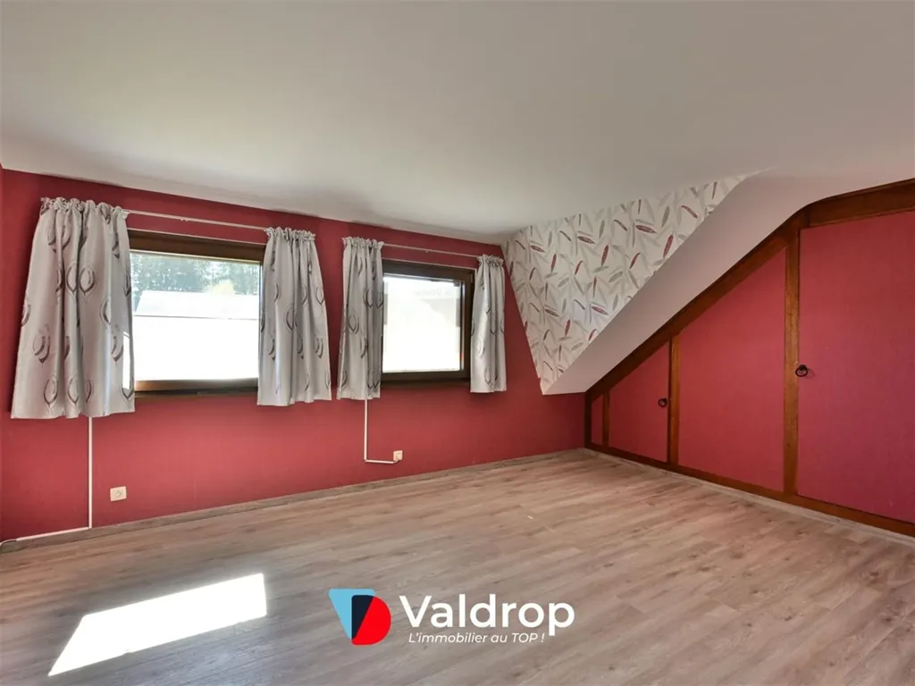 Toad - House with Potential in Arlon