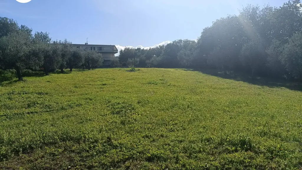 Aed - Villa with Panoramic View in Vasto