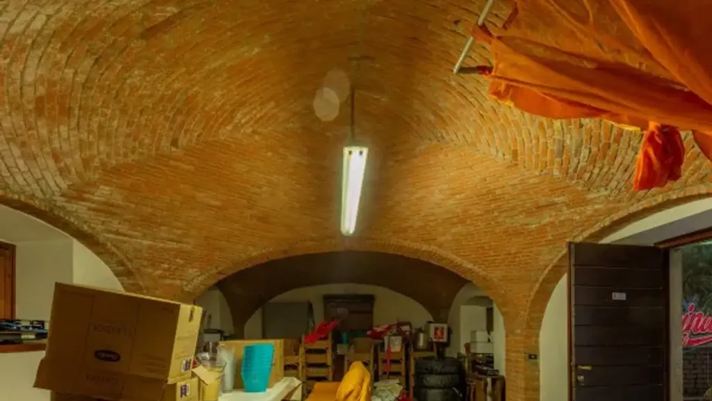 cellar