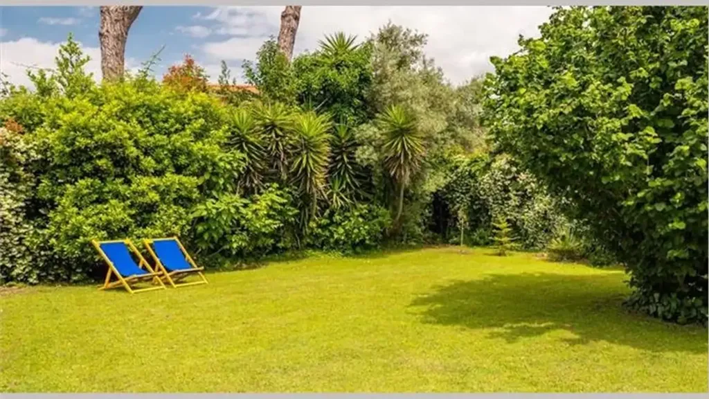 Giardino - Villa with Garden in Forte Dei Marmi