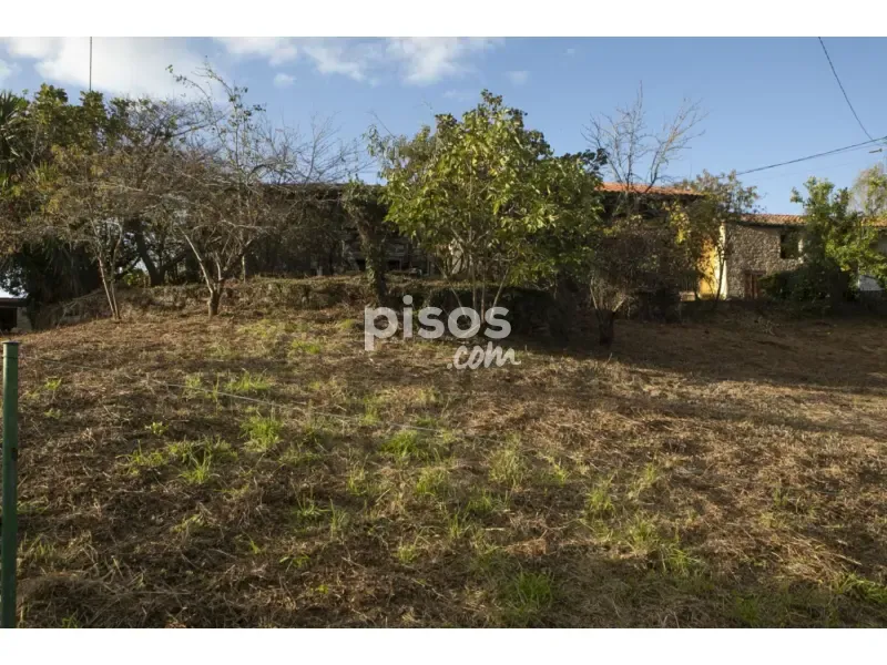 Exterior - Traditional Asturian Rural Complex in Buslaz