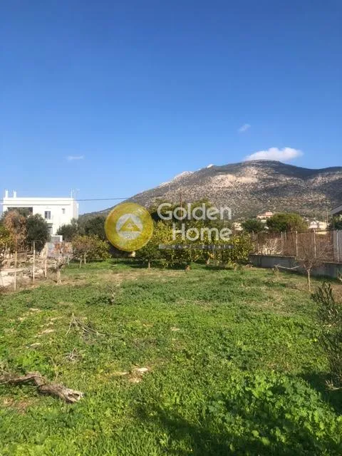 Land in GR