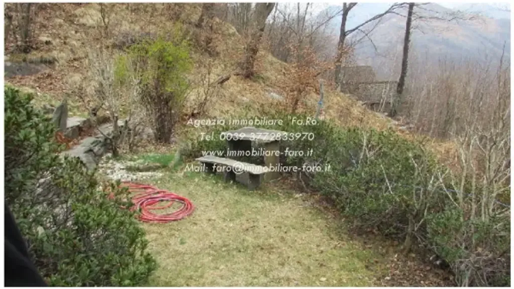 Jardin - Mountain Cottage with Solar Panels in Valle Cannobina