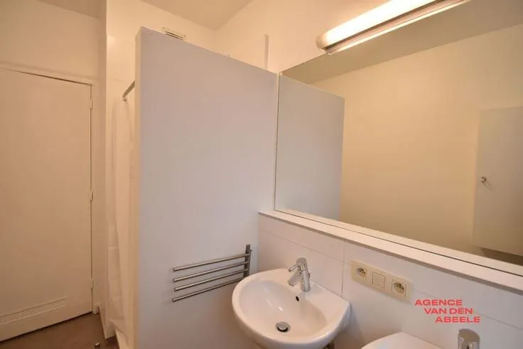 Salles de bain - Appartement avec 2 Chambres au Cœur de Sint-Andries
