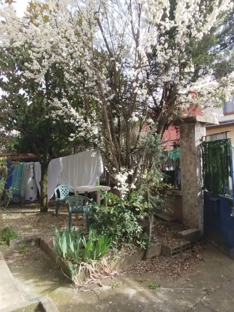 Aed - Student-Friendly 2-Bedroom Flat in Villeurbanne