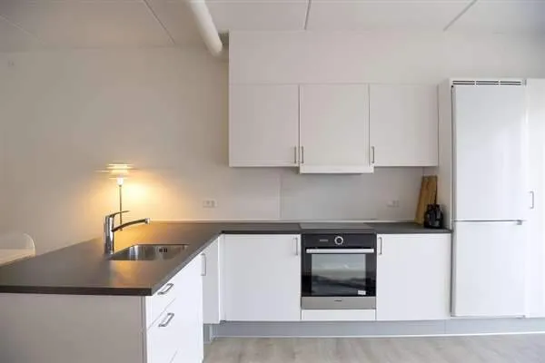 Köök - One-Bedroom Flat in Kolding