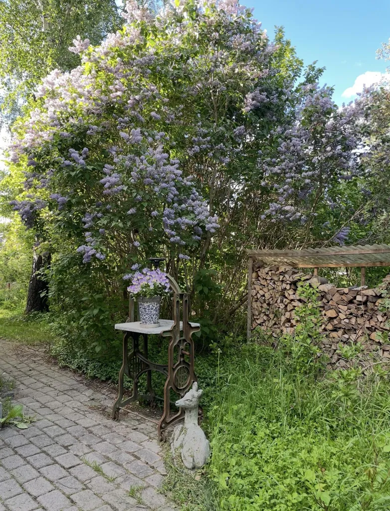 Giardino - Charming 1940s Villa with Garden in Sundby