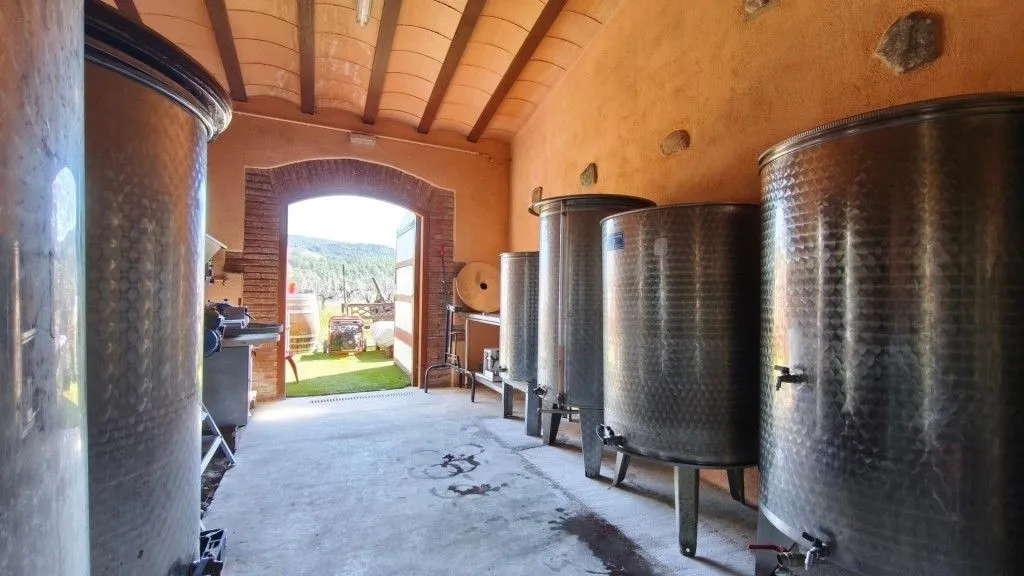 Toad - Boutique Vineyard with Winery in Priorat