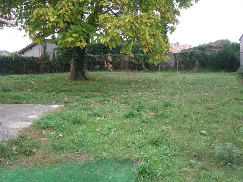 Jardin - Maison de Plain-Pied avec Terrain à Saint Vincent De Paul