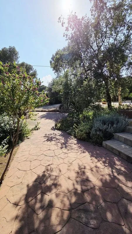 Jardin - Chalet with Pool and Terrace in La Nucía