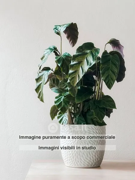 Séjour - Three-Bedroom Apartment with Garden in Vercelli