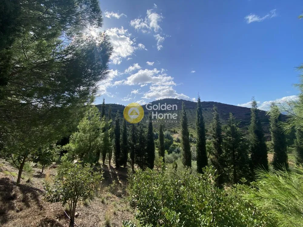 Jardin - Amphitheatre Plot with Panoramic View in Petres