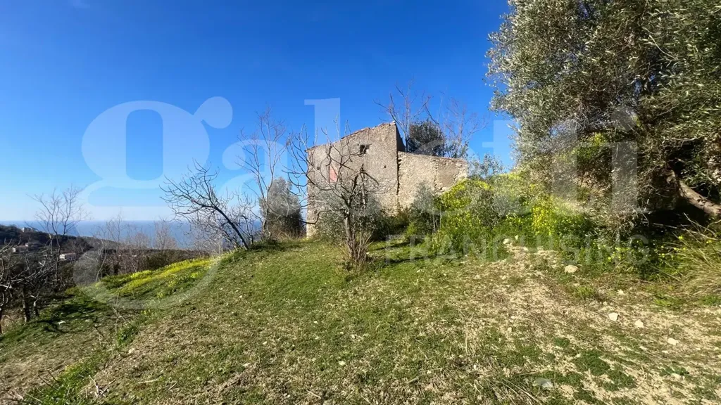Giardino - Rustic Cielo-Terra in Falconara Albanese