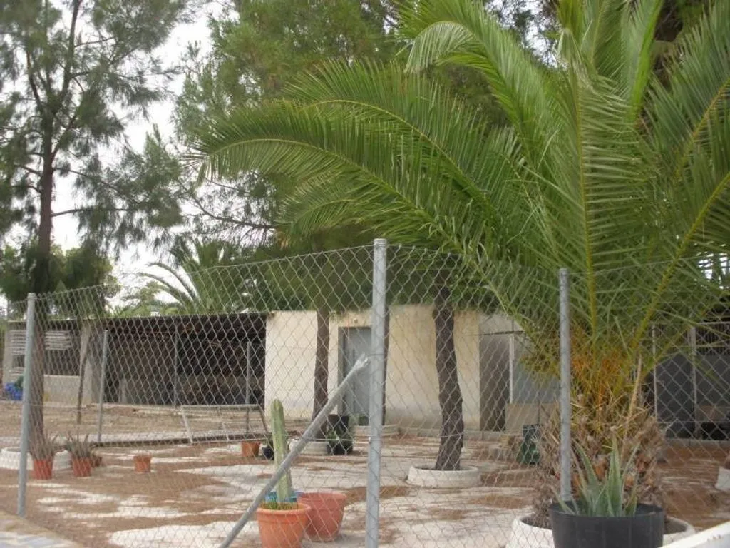 Jardin - Luxury Villa with Pool in Elche