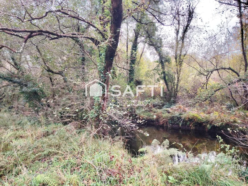 Jardin - Stone House with Large Plot in Negreira