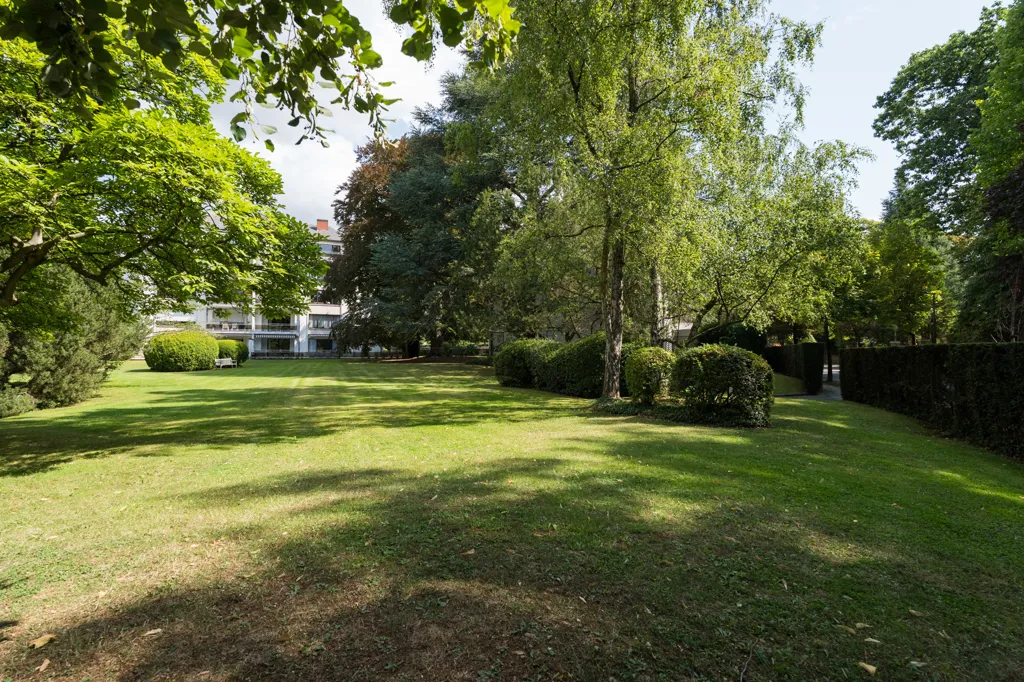 garden
