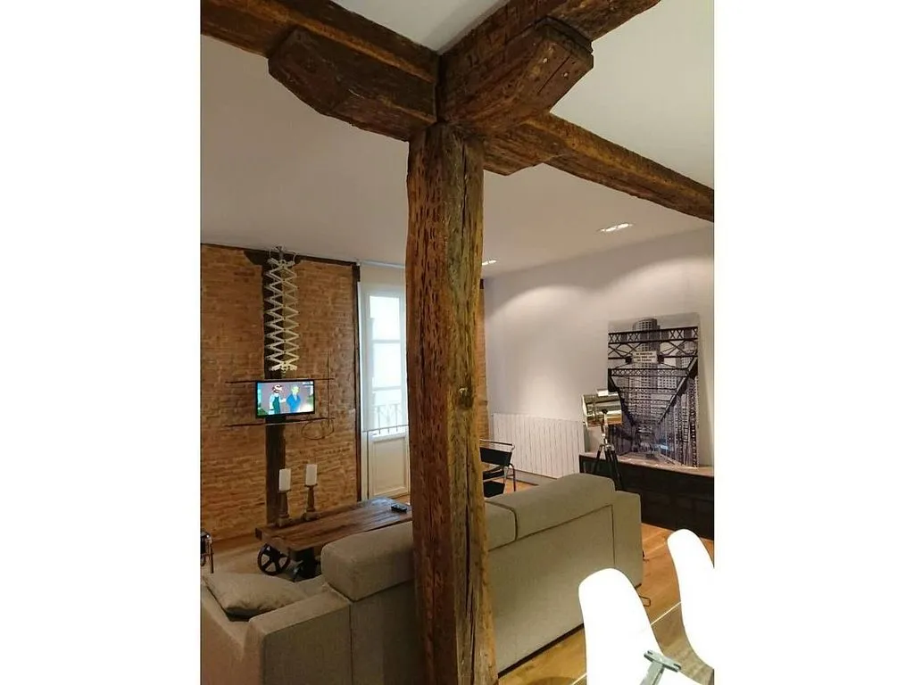 Séjour - Fully Furnished Flat in Casco Viejo