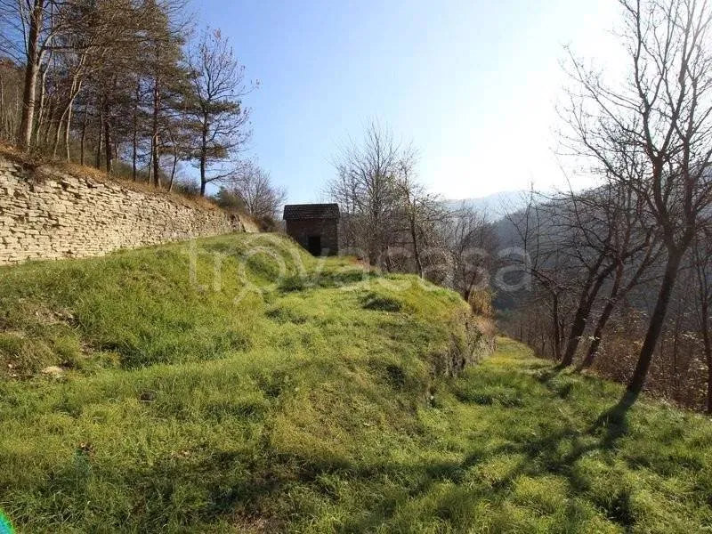 Aed - Rustic Stone Cottage with Panoramic Views in Pezzolo Valle Uzzone