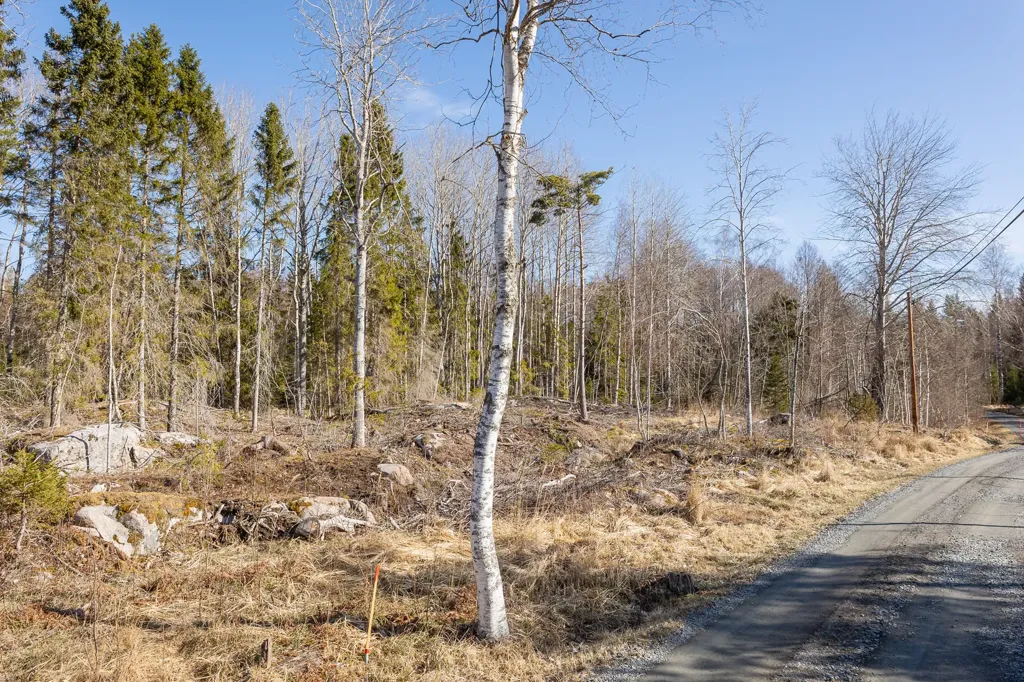 Aed - Unbuilt Plot with Sea Access in Västerbyn