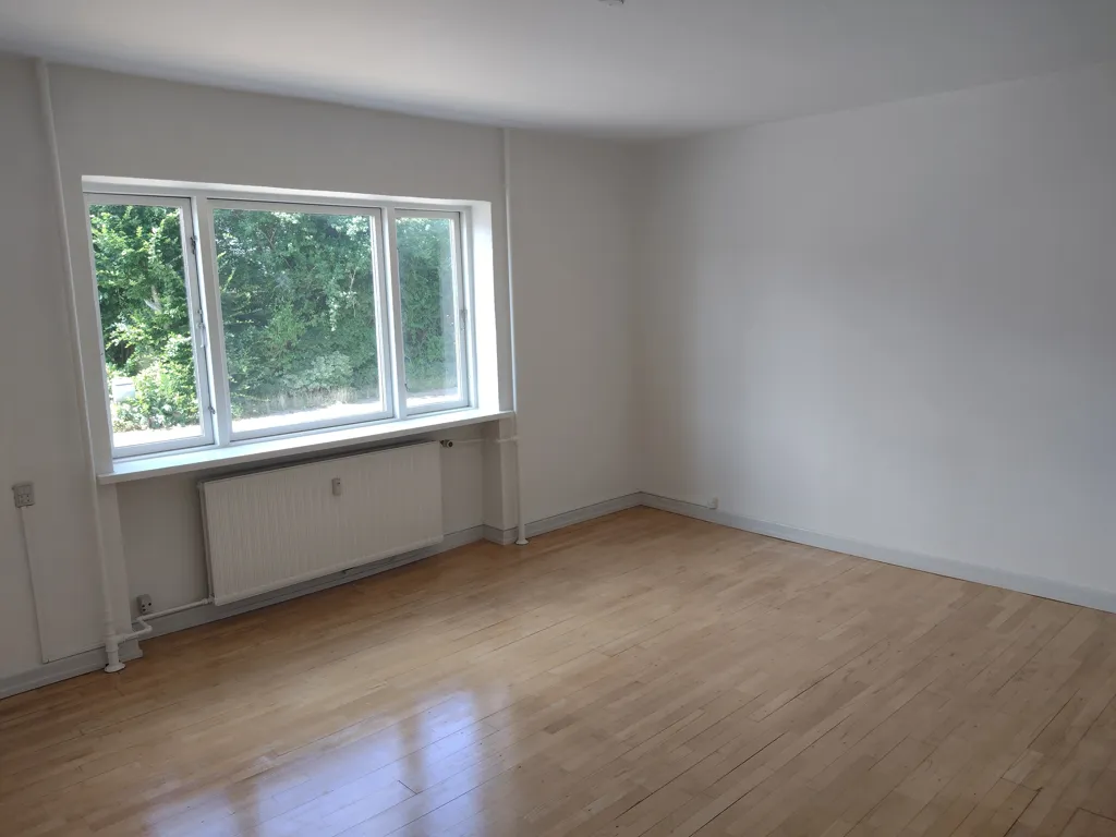 Toad - Renovated Flat with Balcony in Odense C
