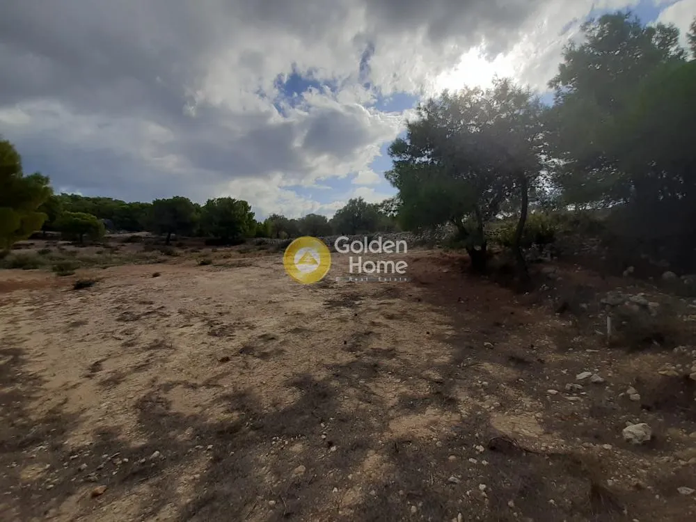 Jardin - Plot with Unrestricted View in Egina - Mesagros