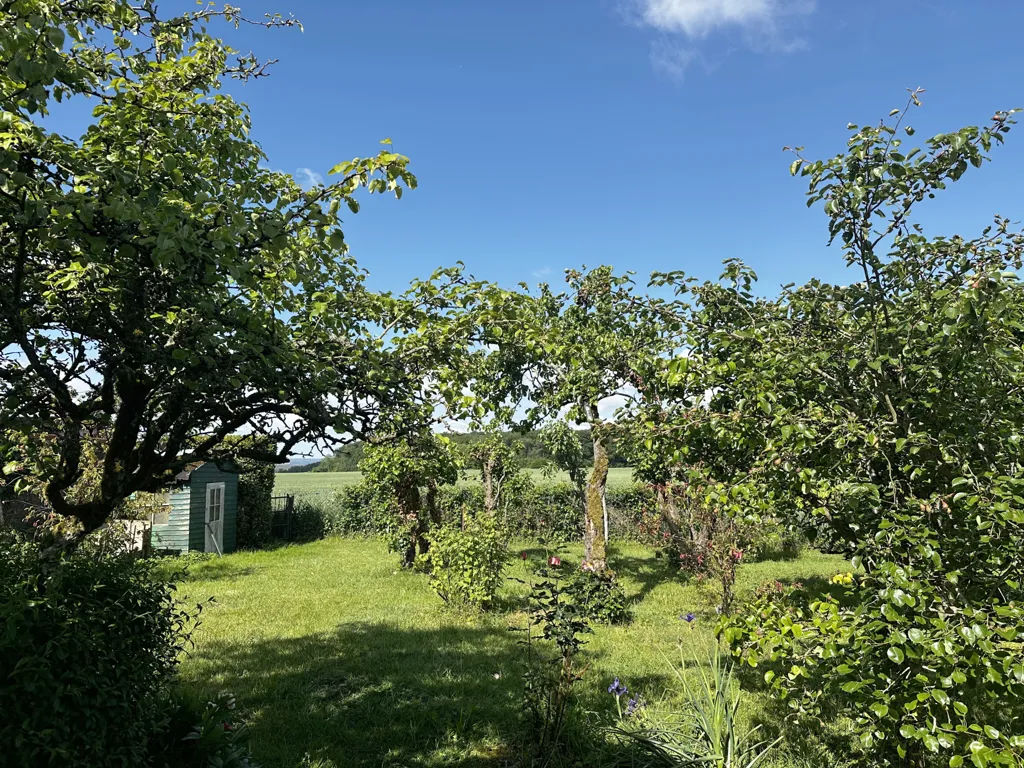 Jardin - Pavillon de Plain-Pied avec Garage et Jardin à Bornel