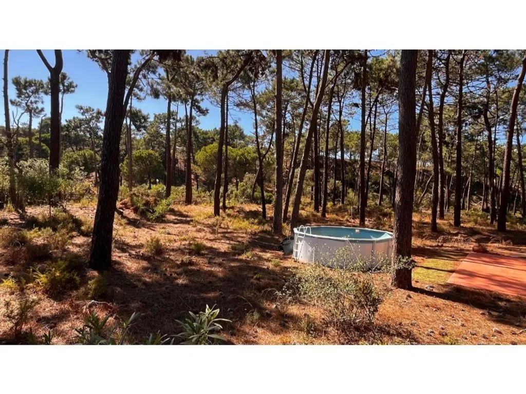 Bassein - Approved Luxury Villa Plot in Herdade da Aroeira