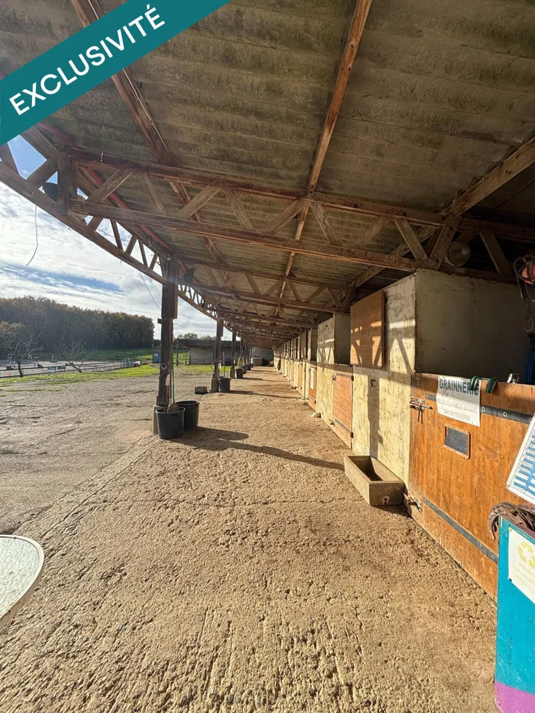 Terrass - Equestrian Estate with Accommodation in Countryside