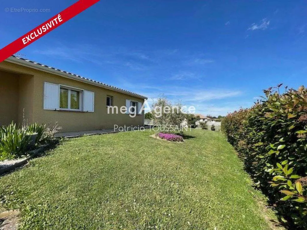Garden - Traditional House with Pool in Fonsorbes