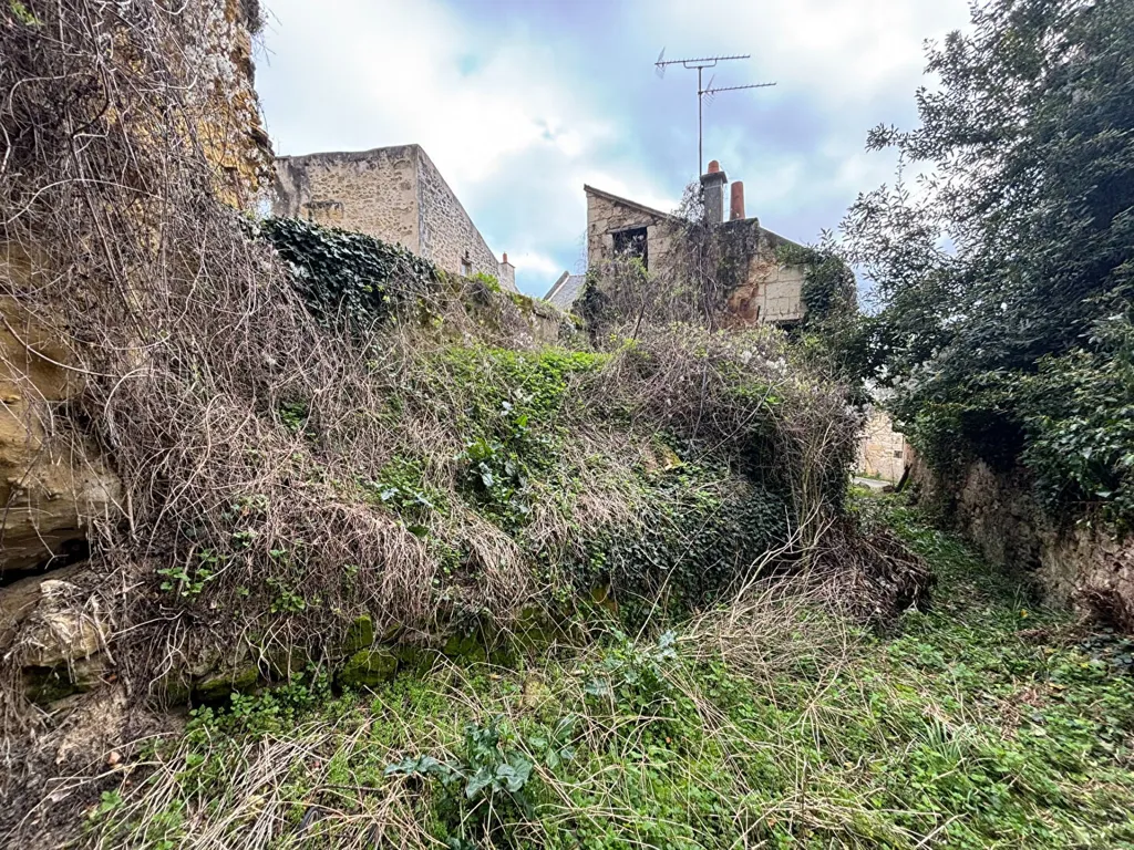 Jardin - Deux Logements à Réhabiliter dans le Centre de Chinon