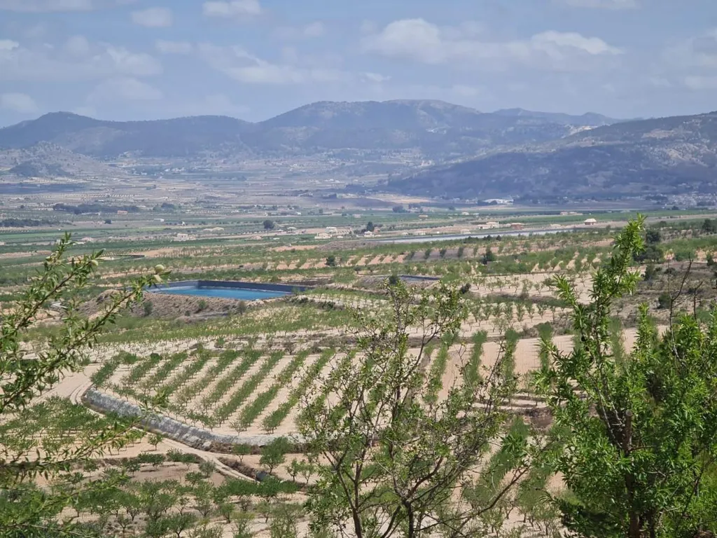 Jardin - Rural Plot with Orchard Views in Yecla