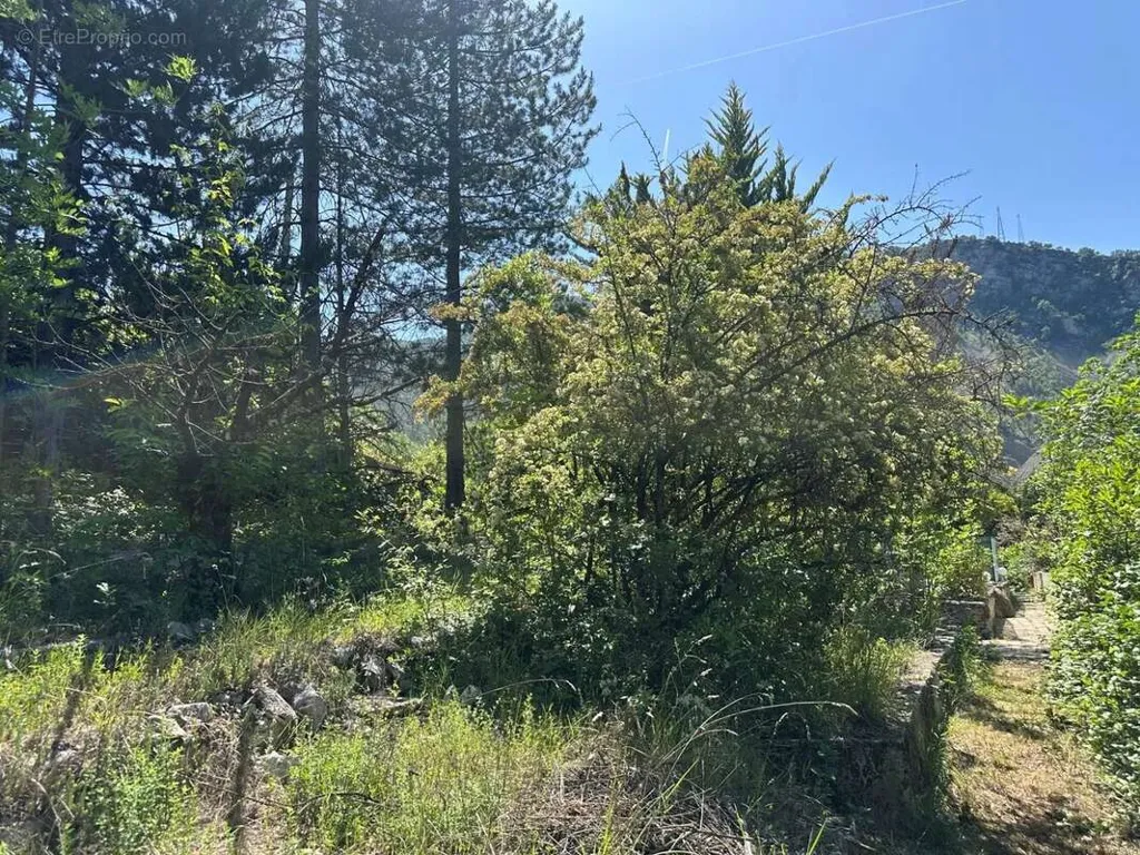 Jardin - Maison au Calme avec Piscine près de Valberg
