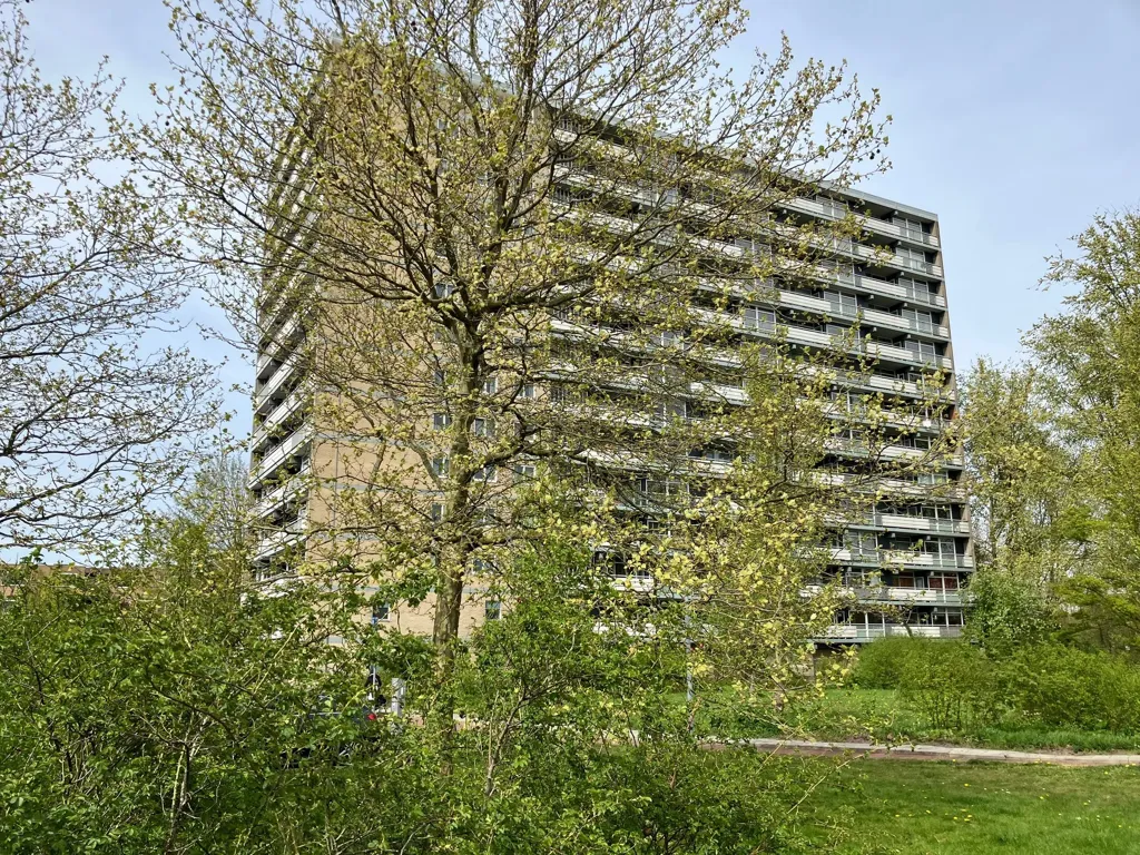 Extérieur - Bright Two-Bedroom Flat with Panoramic View in Haarlem