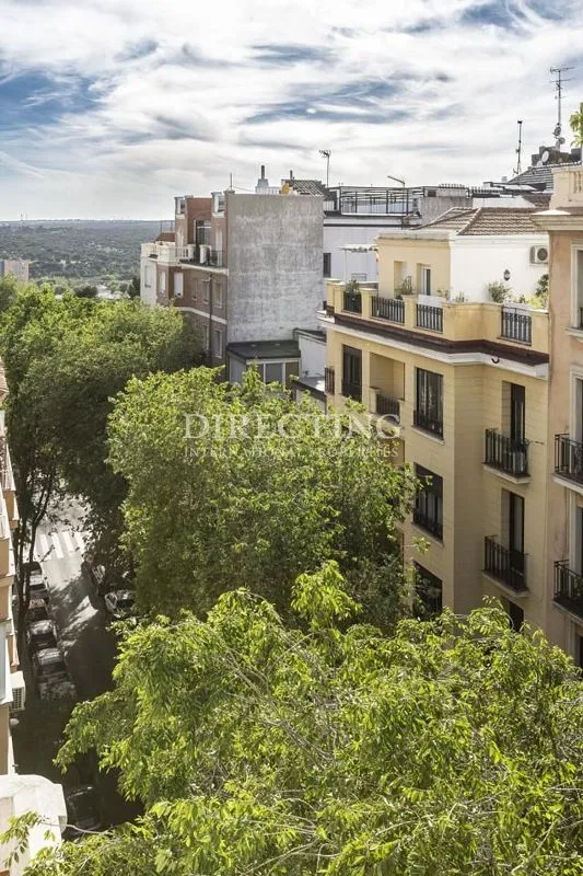 Rõdu - Loft with Terrace in Argüelles, Madrid