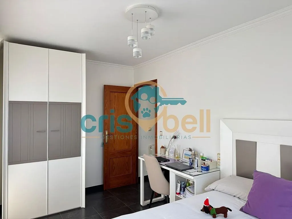 Magamistoad - Spacious Apartment with Terrace in San Cristóbal