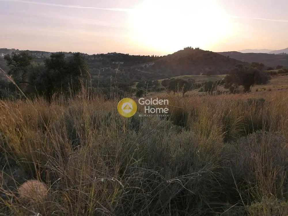 Aed - Agricultural Plot with Panoramic Views in Phaistos