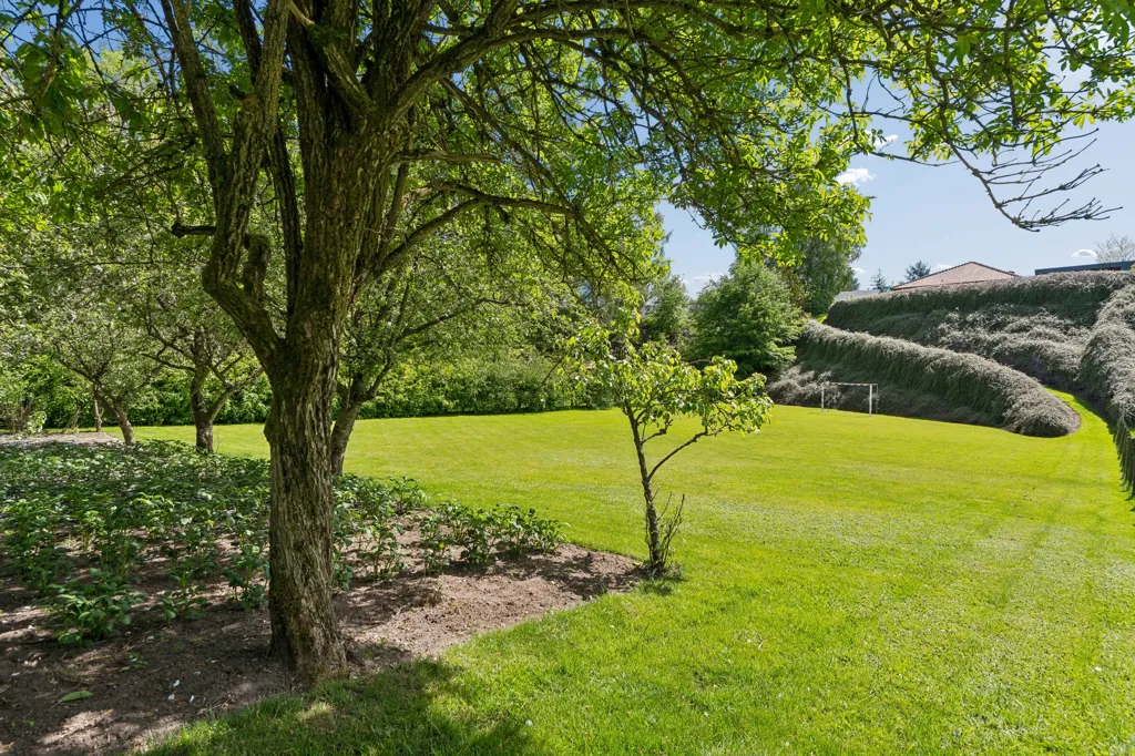 Aed - Architect-designed Villa with Garden near Silkeborg