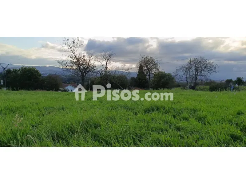 Jardin - Rustic Finca with Land in Noreña